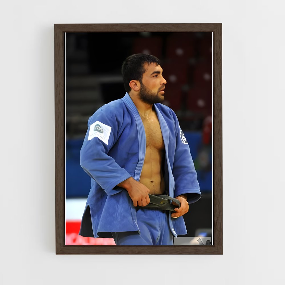 Poster Judo Champion (vue 5)